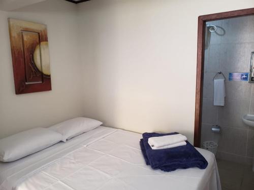伊塔库鲁Aguas Lindas de Itacuruça的一间卧室配有一张床,浴室设有淋浴。