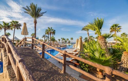 阿依纳帕Adams Beach Hotel & Spa的一座木桥,通往一个棕榈树和遮阳伞的游泳池