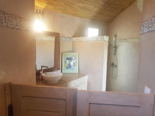 萨利波图尔Keur Palmier Saly的浴室配有盥洗盆和带镜子的淋浴