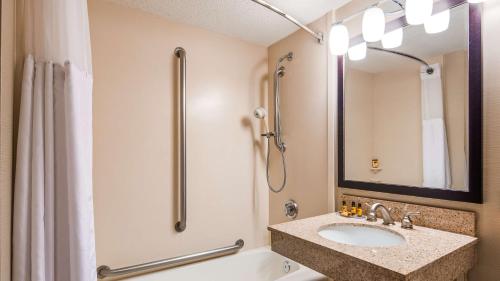肖尔维伊北圣保罗/肖尔维伊贝斯特韦斯特PLUS酒店的一间带水槽和淋浴的浴室
