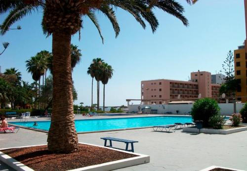 法纳贝海滩Apartamento en Viña del Mar的棕榈树和游泳池旁的长凳