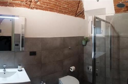 佛罗伦萨Giulia in S.Reparata的一间带水槽、卫生间和淋浴的浴室
