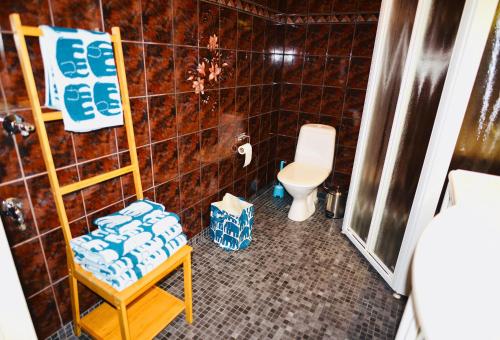 赫尔辛基Apartment Diana Park的一间带卫生间和椅子的浴室