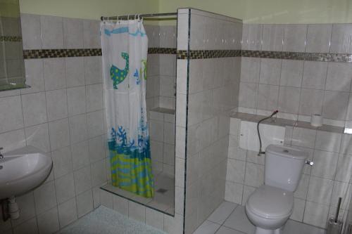 Rivière-PiloteVilla Hausseman的带淋浴、卫生间和盥洗盆的浴室