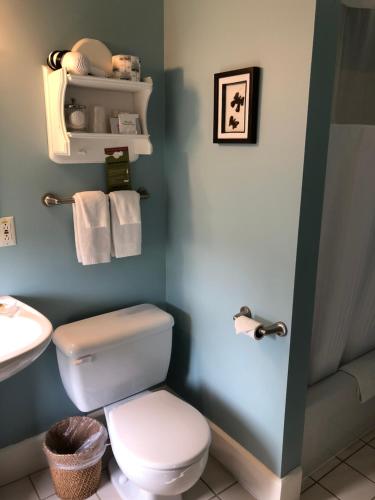 Petit RocherAuberge d'Anjou-Cocooning Café的浴室配有白色卫生间和盥洗盆。