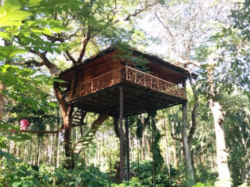 安巴拉瓦亚尔Tranquil Resort - Blusalzz Collection, Wayanad - Kerala的森林中间的树屋