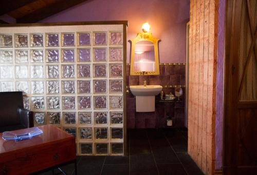 因凡特斯新镇La Casona del Abuelo Parra的一间带卫生间、水槽和镜子的浴室