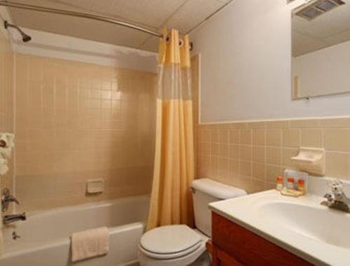 多伊尔斯敦明思缀酒店的浴室配有卫生间、浴缸和水槽。