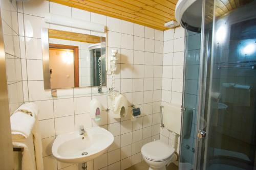 格拉达茨Aparthotel Pecic的一间带水槽、卫生间和淋浴的浴室