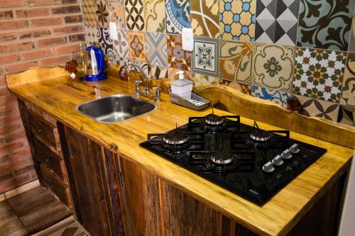 新彼得罗波利斯Ninho das Águias Cabana的厨房柜台配有炉灶和水槽
