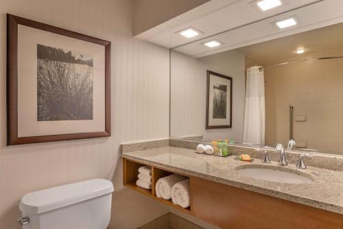 布法罗水牛城市中心希尔顿逸林酒店的一间带水槽、卫生间和镜子的浴室