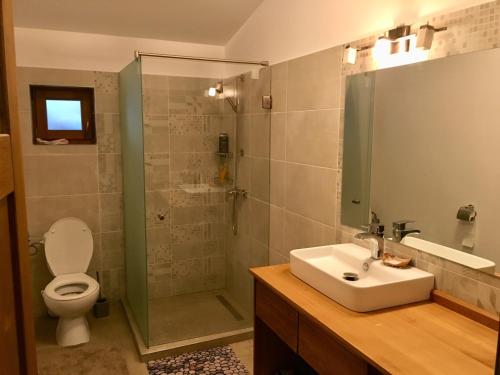 莱斯诺夫SOHO Lodge Rasnov的带淋浴、盥洗盆和卫生间的浴室