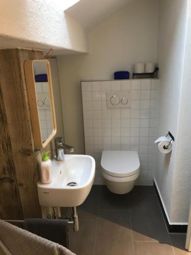 Urnäsch彻兹利斯住宿加早餐旅馆的浴室配有白色卫生间和盥洗盆。