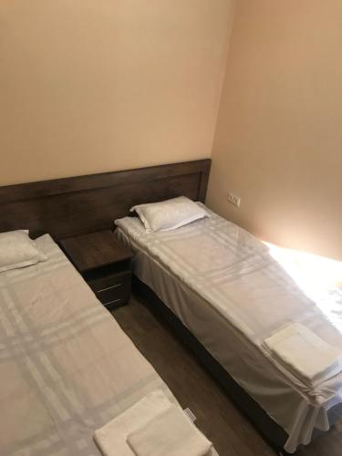 埃里温Guest house Abovyan street的带两张床的小房间,带水ermottermott