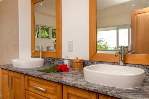 Pointe Au Sel Blue Horizon Villas的浴室设有2个水槽和镜子