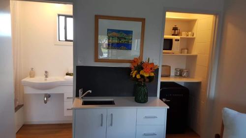 拉格伦Long St Studio的厨房配有水槽和花瓶,位于柜台上