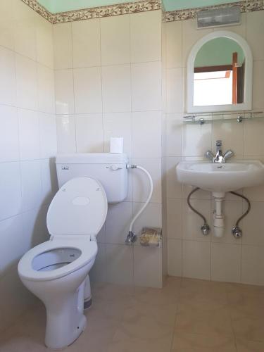 博卡拉油菜花山林小屋的一间带卫生间和水槽的浴室