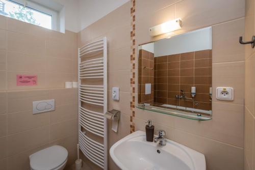 Vysoke Tatry - Horny SmokovecMiramonti Apartmány的一间带水槽、卫生间和镜子的浴室