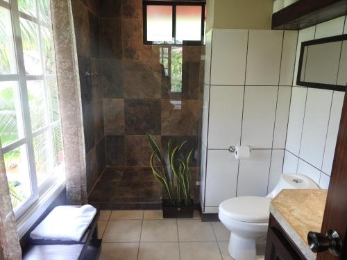 福尔图纳Villas las Palmas的一间带卫生间和淋浴的浴室