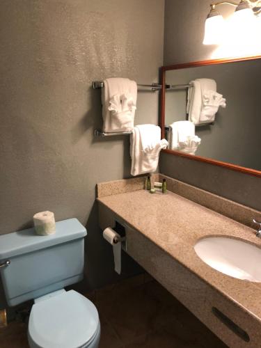 莱瑟姆莱瑟姆伊克诺旅店的一间带水槽、卫生间和镜子的浴室