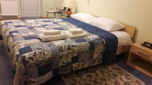 帕内韦日斯Gražinos apartamentai的一间卧室配有一张床,上面有两条毛巾