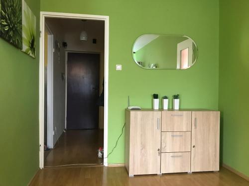 Nowy ŁupkówLokum u Joanny的绿色的客房设有镜子和木制橱柜