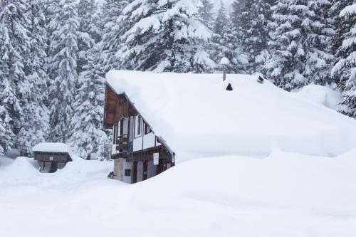 潘尼希特хижа "Скакавица"的一座被雪覆盖的房屋,有树木