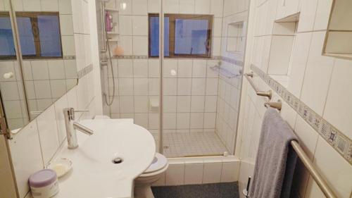 赫罗德斯湾Coo-ee 9的带淋浴、卫生间和盥洗盆的浴室