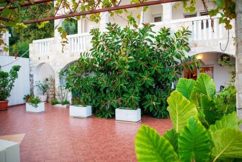 佩特罗瓦纳莫鲁武科蒂奇别墅酒店的一座庭院,里面种着一束植物