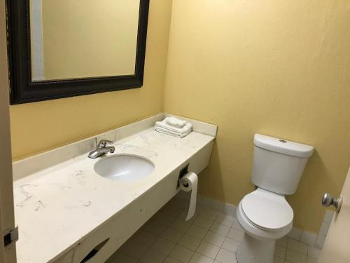 韦恩堡Economy Inn的一间带水槽、卫生间和镜子的浴室