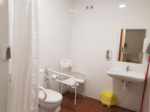 里瓦德奥Albergue A Ponte Ribadeo的一间带卫生间和水槽的浴室