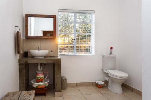 奥茨胡恩Hazenjacht Karoo Lifestyle - Oom Manus se Huis的一间带水槽、卫生间和镜子的浴室