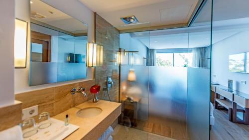 帕格拉科罗纳多海水浴温泉酒店的一间带水槽和玻璃淋浴的浴室