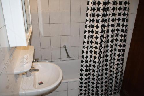 特里尔巴尔干餐厅酒店的一间带水槽和淋浴帘的浴室