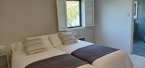 诺盖拉德拉姆Casa da Viña - Ribeira Sacra的一张沙发,房间上有两个枕头