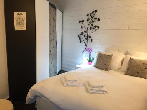 圣拉斐尔Tu Casa parking fibre optique Netflix的卧室配有一张白色大床和两条毛巾