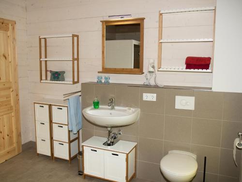 NeukalenFerienhaus F.Winkler的一间带水槽、卫生间和镜子的浴室