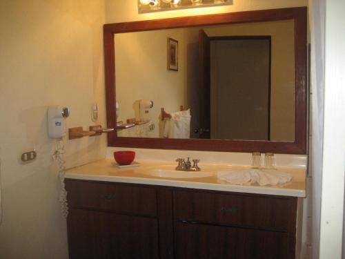 San Antonio特拉普家庭乡村旅馆的一间带水槽和大镜子的浴室