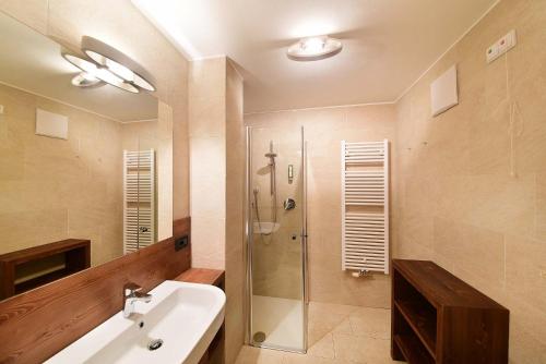 多比亚科阿里斯顿多洛米蒂公寓酒店的带淋浴、盥洗盆和浴缸的浴室