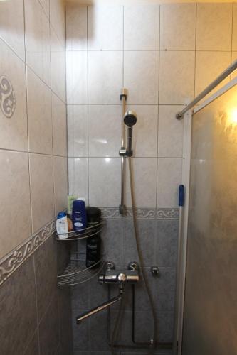 黑诺拉1-Bedroom Apartment with Sauna的带淋浴的浴室