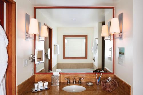 惠斯勒惠斯勒泛太平洋度假村的一间带水槽和大镜子的浴室