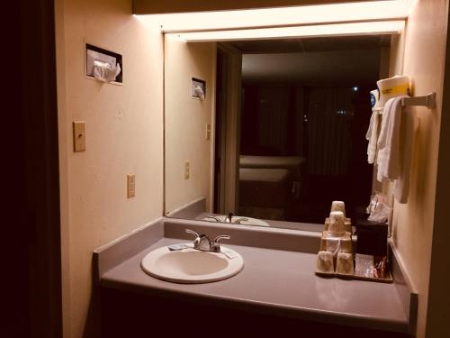 亚特兰大Cheshire Motor Inn的一间带水槽和镜子的浴室