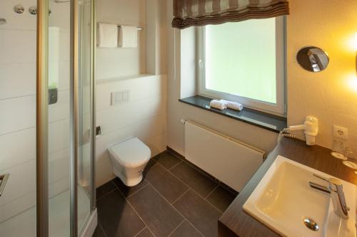 蒙明博格Bergers Airporthotel Memmingen的一间带卫生间、水槽和窗户的浴室