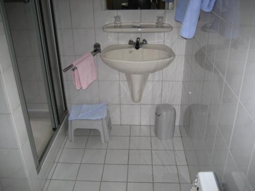 马尔梅迪圣休伯特酒店的白色的浴室设有水槽和淋浴。
