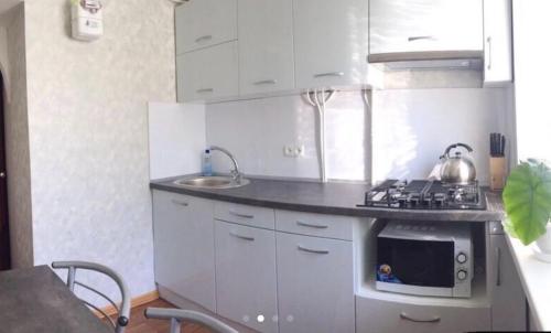 尼科波尔Apartment Shevchenka 154的小厨房配有炉灶和水槽