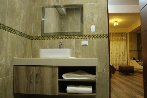 伊察hotel el parral suite的一间带水槽和镜子的浴室