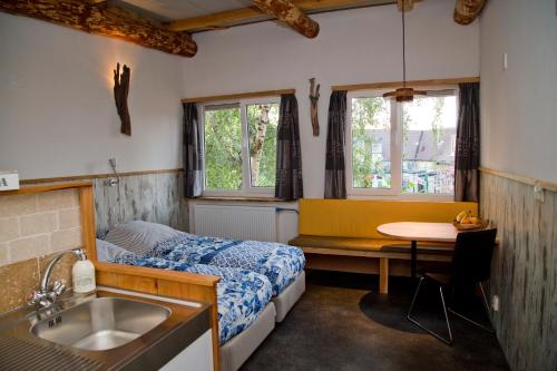 Den HoornDe Droomhut的一间卧室配有一张床、一张桌子和一个水槽