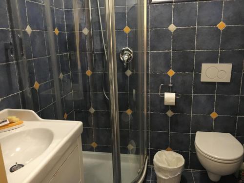 蒙特罗索阿尔马雷IrisBlu的带淋浴、卫生间和盥洗盆的浴室