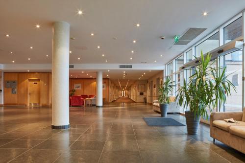 普里茅斯普利茅斯未来旅馆的建筑里带有柱子和植物的大厅