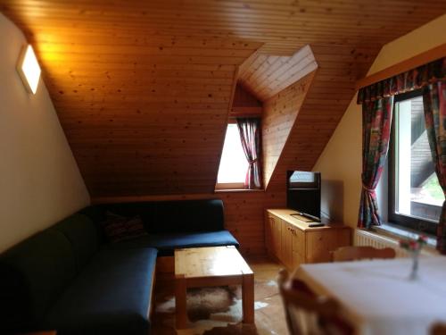 莫斯特拉纳Turisticna Kmetija Psnak的小屋内的客厅配有沙发和电视